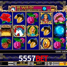 5557bet Rio de Janeiro - Bonus Terms